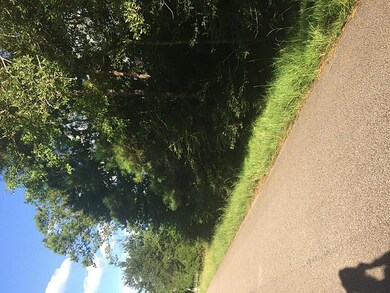 0 West Ln, Magnolia, TX 77354 - photo 5