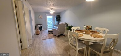 35979 Condo Dr unit B202, Rehoboth Beach, DE 19971 - photo 5