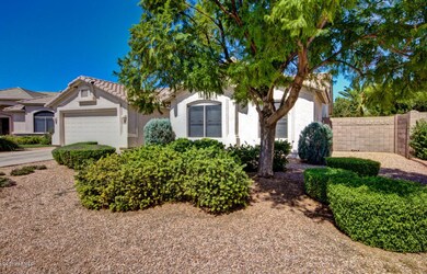 Low Maintenance Front Yard