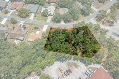 10-web-or-mls-DJI_0255_outlines