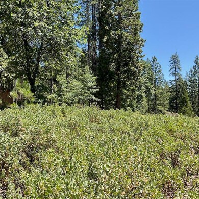 1943 Lightning Ln, Arnold, CA 95223 - photo 6