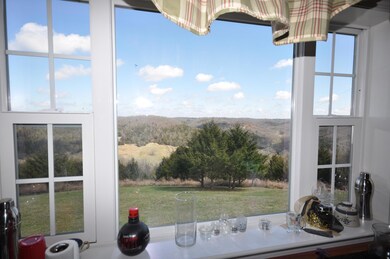 View from Kitchen