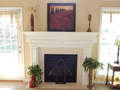 Wonderful gas fireplace