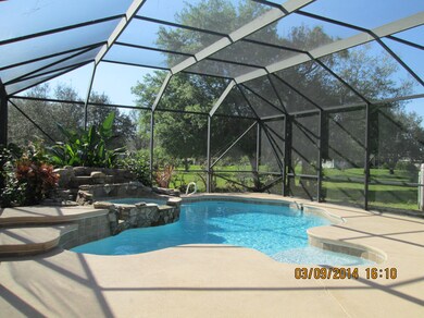 Beautiful Pool