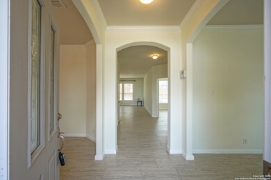 24002 Buckthorn Pass, San Antonio, TX 78261 - photo 3