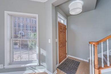 243 Box Car Ave, Naperville, IL 60540 - photo 4