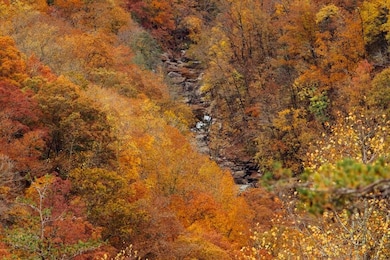 0 Worley Rd unit RTC2810073, Soddy-Daisy, TN 37379 - photo 7