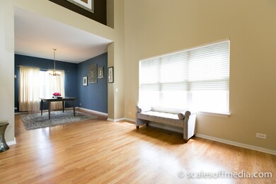 1130 Sedgewood Trail, Algonquin, IL 60102 - photo 4