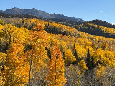 Incredible Views