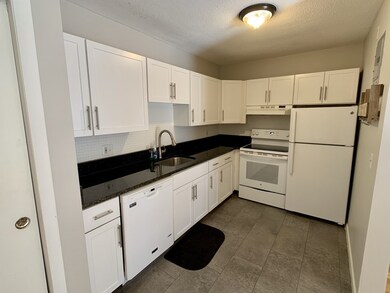 29 Custer St unit 303, Jamaica Plain, MA 02130 - photo 6