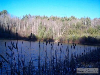 Large Pond