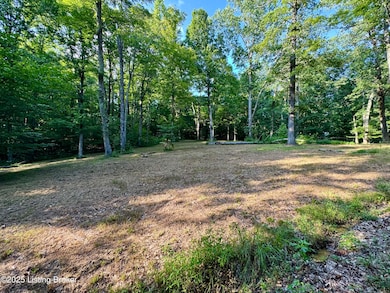 1193 Patriots Landing Ln, Falls of Rough, KY 40119 - photo 2