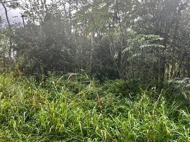 0 Pakalana Rd unit 717317, Pahoa, HI 96778 - photo 3