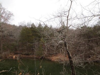 0 Lakeshore Dr unit 60154408, Kimberling City, MO 65686 - photo 5