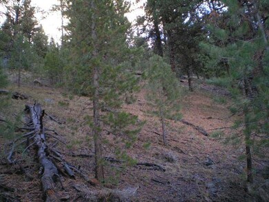 0 Center St unit 12580193, Granite, OR 97877 - photo 2