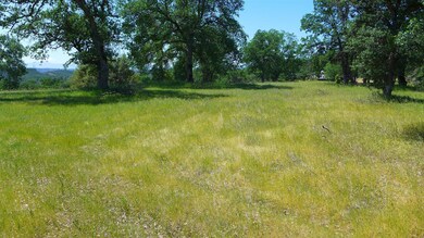 4573 Peaceful Ridge Rd, Redding, CA 96001 - photo 6