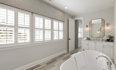 Owner's Bath
