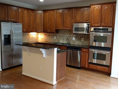 42031 Bushclover Terrace, Stone Ridge, VA 20105 - photo 6