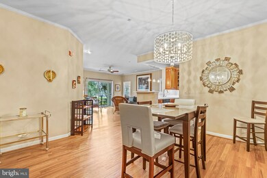 11315 Westbrook Mill Ln unit 103, Fairfax, VA 22030 - photo 4