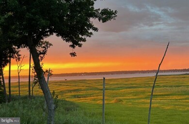 29244 Park View Dr, Dagsboro, DE 19939 - photo 6