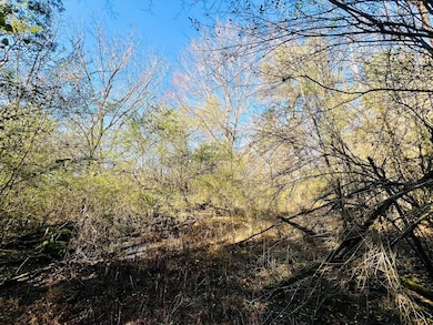 0 Miracle Temple Rd, Byhalia, MS 38611 - photo 7