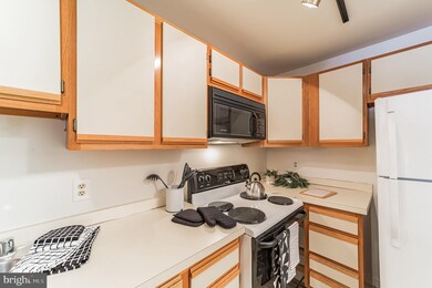 1025 N Madison St unit B202, Wilmington, DE 19801 - photo 5