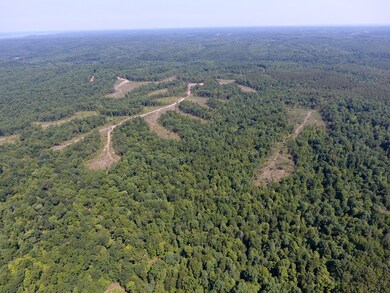 0 Mathis Cemetery Rd unit RTC2414563, Stewart, TN 37175 - photo 7