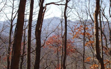 Additional View