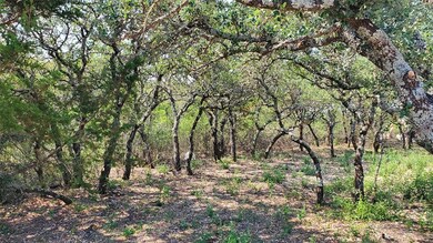 90 W Stege Coach Trail, Weatherford, TX 76085 - photo 3