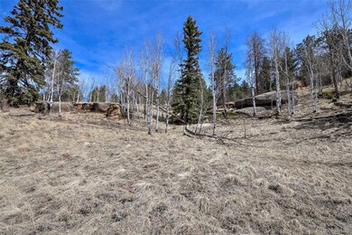 926 W Bison Creek Trail, Divide, CO 80814 - photo 4