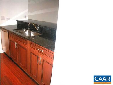 210 10th St NE unit 201, Charlottesville, VA 22902 - photo 5