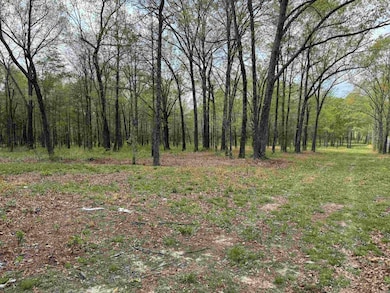 00 Hwy 321, Austin, AR 72007 - photo 6