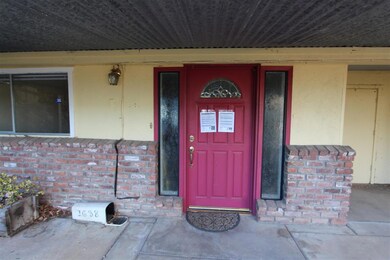 front door (Large)