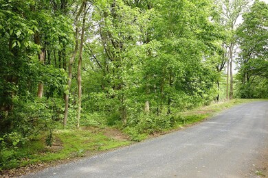 A12 Friendly Ln, 3, Marksville, VA 22851 - photo 4