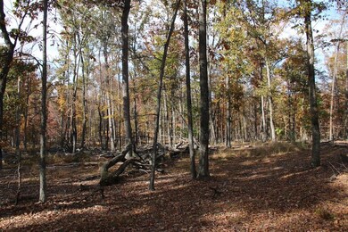 0 Easter Ridge Ln unit LotWP007A 23743104, Gainesboro, VA 22603 - photo 4