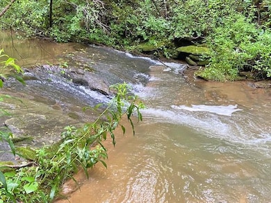 2243 Damascus Rd, Ball Ground, GA 30107 - photo 4