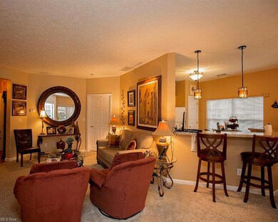 705 Aqua Marine Blvd, Avon Lake, OH 44012 - photo 6