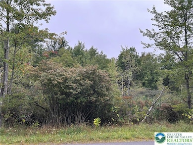 1325 Glade Dr unit Lot 7143, Long Pond, PA 18334 - photo 3