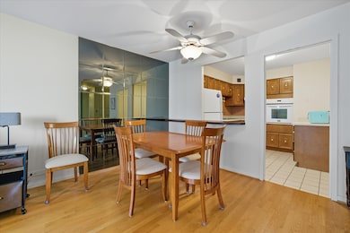 Thorndale Beach South Condominiums unit 9F, Chicago, IL 60660 - photo 6
