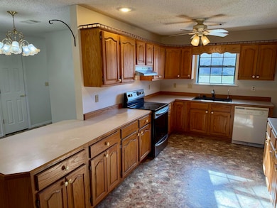 14 Lakeview Cir, Clarksville, AR 72830 - photo 5