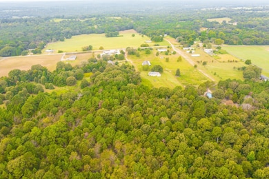 17802 Turner Cir, Tyler, TX 75704 - photo 6