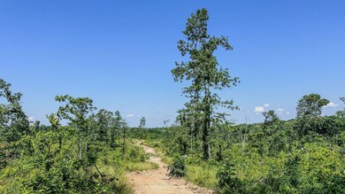 0 W Trace Creek Rd, Waverly, TN 37185 - photo 7