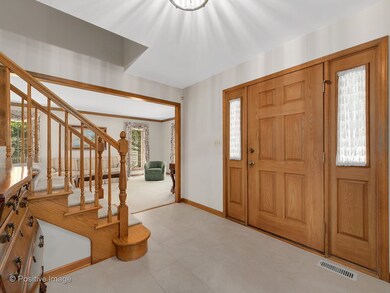 1008 Hamlet Rd, Naperville, IL 60564 - photo 3