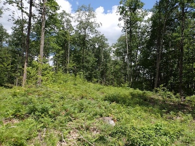 0 Denio Rd unit 24587953, Barnet, VT 05819 - photo 6