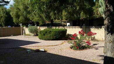 Private, low maintenance backyard