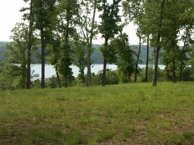 Lot 51 Gemstone Acres Ln, Kimberling City, MO 65686 - photo 3