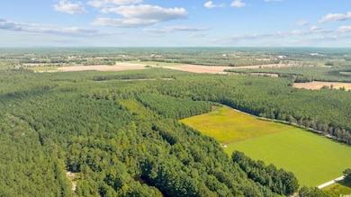 Lot 4 WoMacK Rd, Nichols, SC 29581 - photo 4