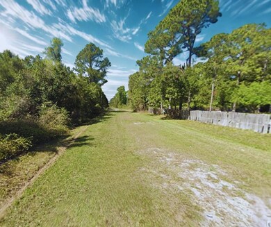 429 Birch Blvd, Georgetown, FL 32139 - photo 4