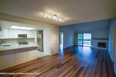 14913 Highway 82 unit 113, Carbondale, CO 81623 - photo 2