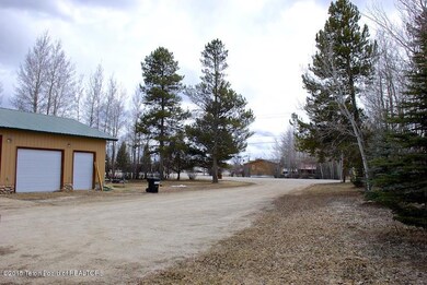 Driveway from house.jpg